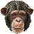 チンパンジーのサムネイル
