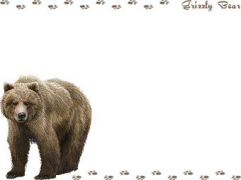 （灰色熊）ハイイログマ、ヒグマ、グリズリー／クマの年賀状／非商用無料イラスト