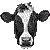 Holstein thumbnail