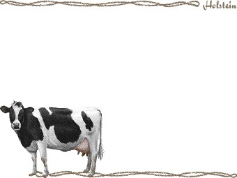 乳牛、ホルスタイン／ウシの年賀状／非商用無料イラスト