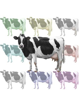 乳牛、ホルスタイン／ウシのポストカード／無料イラスト