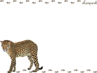 スマホ用ページ 豹 ヒョウのポストカード用イラスト 条件付フリー素材集