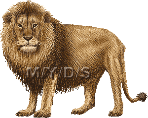 アニメーションGIF　ライオンのイラスト／無料素材集（条件付）