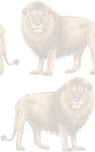 ライオンの壁紙／条件付きフリー画像