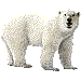 白クマ・アイコン