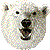 Polar Bear thumbnail