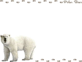 （北極熊）ホッキョク グマ、（白熊）シロクマの年賀状／非商用無料イラスト