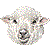 Sheep thumbnail
