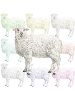 （羊）ヒツジのポストカード／無料イラスト