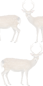 日本鹿の壁紙／条件付きフリー画像