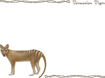タスマニア タイガー、フクロ オオカミ、タスマニア オオカミの年賀状／非商用無料イラスト