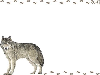 （大陸狼）タイリク オオカミの年賀状／非商用無料イラスト