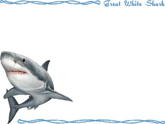 （頬白鮫）ホホジロ ザメ、ホオジロ ザメ／サメの年賀状／非商用無料イラスト