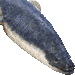 鰻のアイコン
