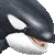 Killer Whale thumbnail