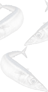 秋刀魚の壁紙／条件付きフリー画像