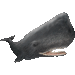 マッコウクジラのアイコン
