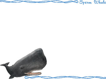 （抹香鯨）マッコウ クジラの年賀状／非商用無料イラスト