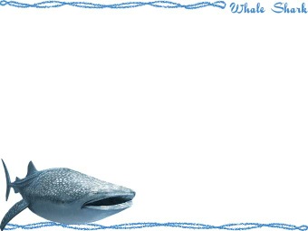 （甚平鮫）ジンベエ ザメ／サメの年賀状／非商用無料イラスト