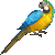 Blue-and-yellow Macaw thumbnail