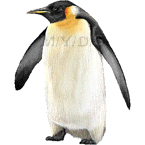 ペンギンのイラスト／無料素材集（条件付）