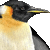 Emperor Penguin thumbnail
