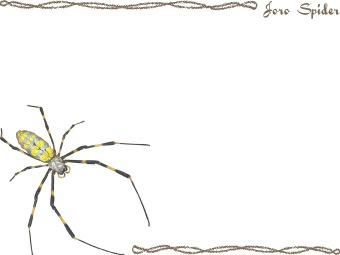 （女郎蜘蛛）ジョロウ グモ／クモの年賀状／非商用無料イラスト
