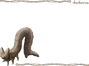 （尺取虫）シャクトリムシ／トビモンオオエダシャクの幼虫の年賀状／非商用無料イラスト