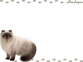 ヒマラヤン、ペルシャ猫の年賀状／非商用無料イラスト