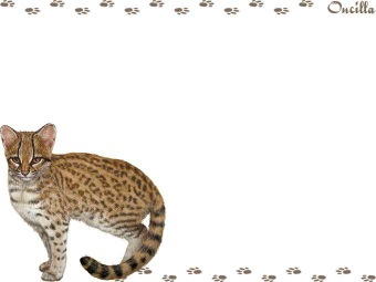 ジャガーネコ、タイガーキャットの年賀状／非商用無料イラスト