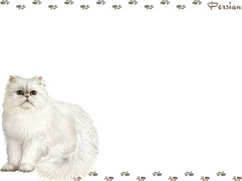 ペルシャ猫・チンチラ シルバーの年賀状／非商用無料イラスト