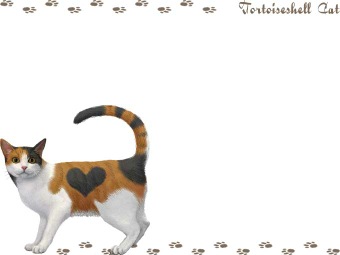 日本猫（三毛猫）ミケネコの年賀状／非商用無料イラスト