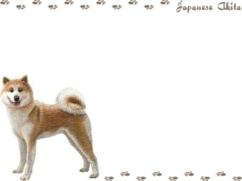 秋田犬（あきたけん、あきたいぬ）の年賀状／非商用無料イラスト