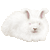 アンゴラウサギ／アイコン
