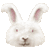 Angora Rabbit thumbnail