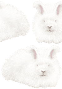 アンゴラウサギの壁紙／非営利無料イラスト