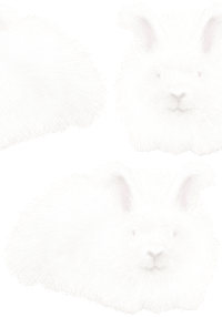 アンゴラウサギの壁紙／無料イラスト