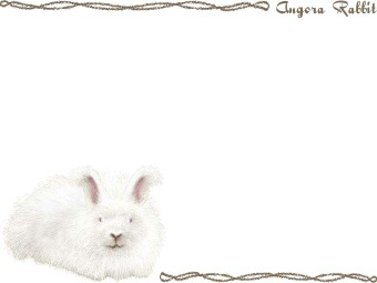 アンゴラ ウサギ／（兎）うさぎの年賀状／非商用無料イラスト