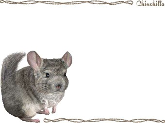 チンチラ／（鼠）ネズミの年賀状／非商用無料イラスト