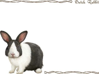 ダッチ（パンダウサギ）／兎の年賀状／非商用無料イラスト