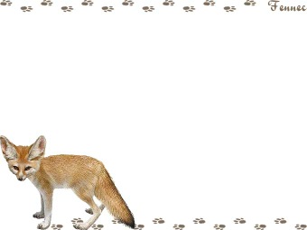 フェネック狐（ふぇねっく ぎつね）／キツネの年賀状／非商用無料イラスト