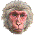 Japanese Macaque thumbnail