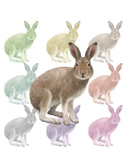 （雪兎）ユキ ウサギのポストカード／無料イラスト