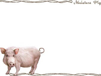 ブタ／豚の年賀状／非商用無料イラスト