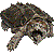 Alligator Snapping Turtle thumbnail