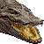 Saltwater Crocodile, Estuarine Crocodile thumbnail