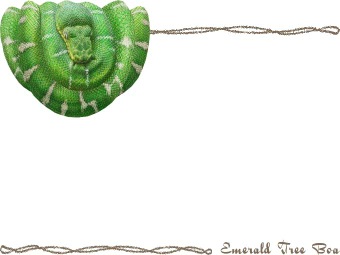 （蛇）エメラルド・ツリー・ボアの年賀状／非商用無料イラスト