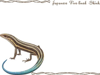 （日本蜥蜴）ニホン トカゲの年賀状／非商用無料イラスト