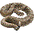 ガラガラヘビ／アイコン