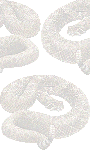 ダイヤガラガラヘビの壁紙／無料イラスト